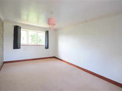 Picture 31